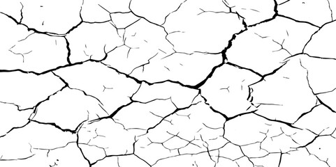 A stark, high-contrast black and white texture resembling cracked earth or shattered glass, showcasing an intricate network of irregular lines against a pristine white background. 