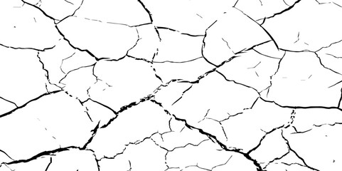 A stark, high-contrast black and white texture resembling cracked earth or shattered glass, showcasing an intricate network of irregular lines against a pristine white background. 
