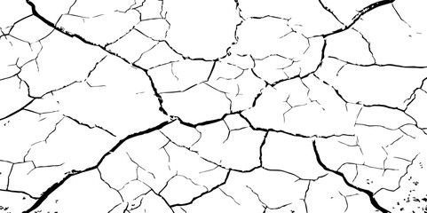 A stark, high-contrast black and white texture resembling cracked earth or shattered glass, showcasing an intricate network of irregular lines against a pristine white background. 