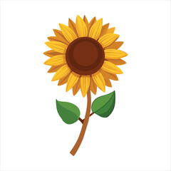A bright yellow sunflower with a brown center and green leaves, standing tall on a white background