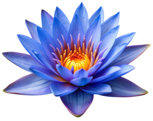 Blue Lotus (Nymphaea caerulea)  generative ai