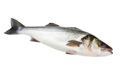 Fototapeta premium Fresh whole saltwater fish isolated on transparent background