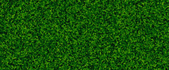 seamless green hedge texture with dense leaves for garden or nature background