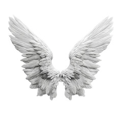 Obraz premium white angel wings suitable on transparent background