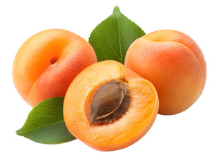 Ripe juicy apricots, some whole and one cut to reveal its pit, arranged with green leaves, cleanly...