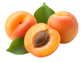 Ripe juicy apricots, some whole and one cut to reveal its pit, arranged with green leaves, cleanly isolated on a transparent PNG.