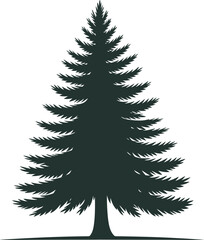 Obraz premium Vector Silhouette of Evergreen Pine Tree ? Isolated Botanical Illustration for Nature and Holiday Design
