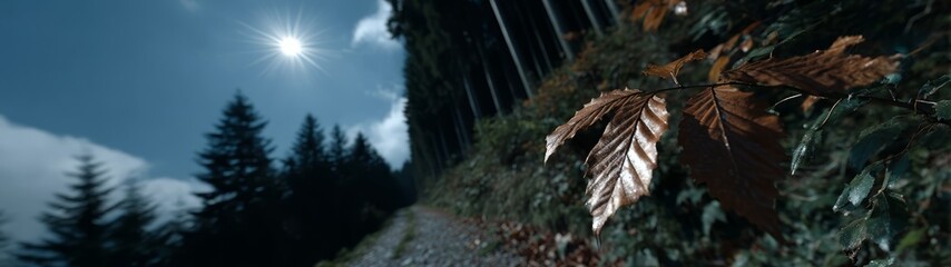 Panoramic view of nature in hdr 360 degrees scenic forest environment high-quality image