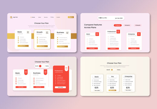 Professional Service Package Pricing