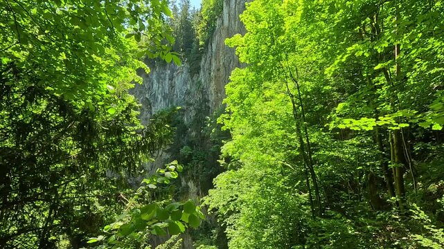 Scenic view from a funicular ascending to the dramatic Macocha Gorge near Brno, a popular natural attraction in Czechia.