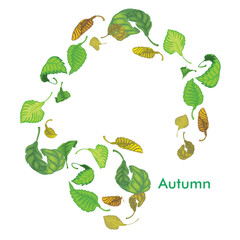 Vector composition with aspen leaves. The leaves are linear and full-color, hand-painted on a white background. Elements are isolated and editable.