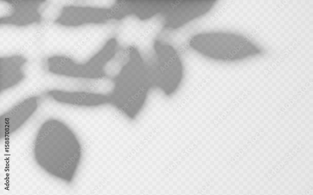 Wall mural abstract shadow overlay from foliage tree branch on a transparent background.