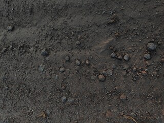 a loose pile of dirt with some small rocks scattered throughout.