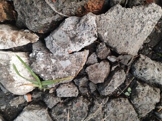 Cracked stones and cement on the ground with weeds.