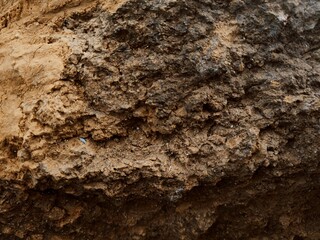 A brown rock with rugged texture and golden tones.