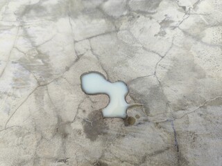 a drop of milk spilled on a cracked concrete surface.