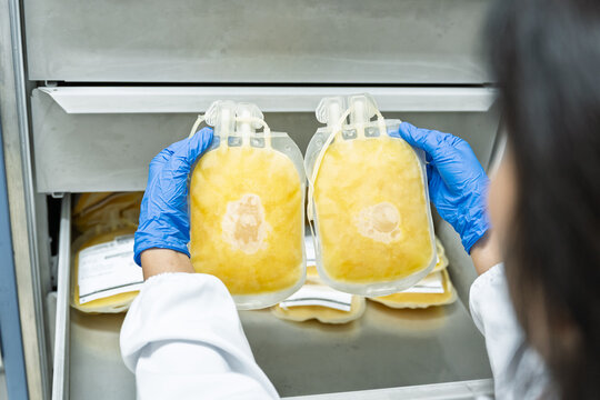 Close up scientist hand wear blue gloves holding fresh frozen plasma bag in storage refrigerator at blood bank unit laboratory.Blood bag received from blood donation used in patients.Save life concept
