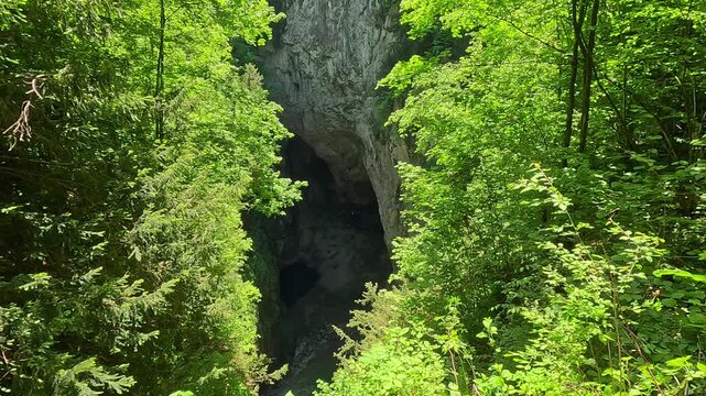 Dramatic top-down view of Macocha Gorge, a deep limestone chasm surrounded by forest, located near Brno in Czechia.