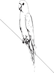 Elegant one-line drawing of a parrot perched on a branch, minimalist and black-and-white only