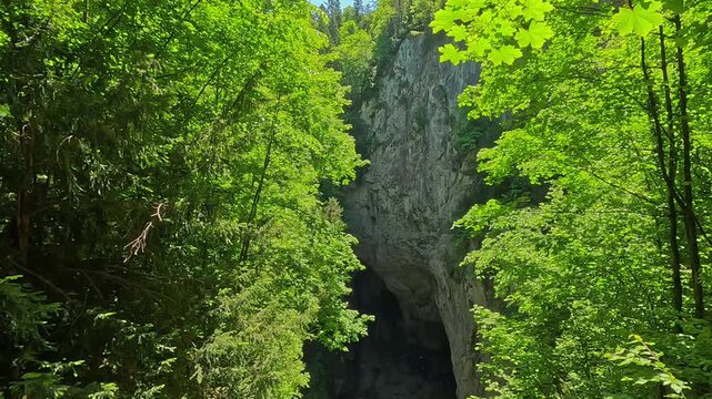 Dramatic top-down view of Macocha Gorge, a deep limestone chasm surrounded by forest, located near Brno in Czechia.
