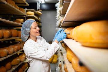 Food worker taking samples of cheese for quality test.