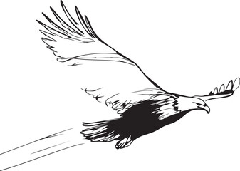 Minimalist and abstract line art of an eagle in flight, continuous and black-and-white only