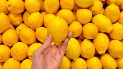 lemon background with women hand