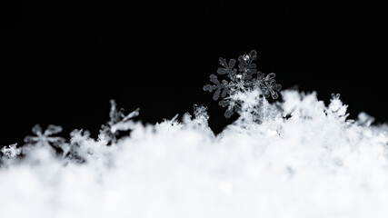 natural snowflakes on snow, winter

