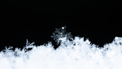 natural snowflakes on snow, winter

