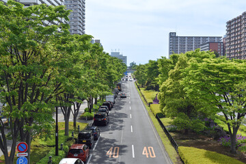 東京 練馬 道路