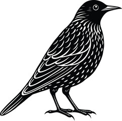 Elegant Starling Bird Silhouette Vector Art.