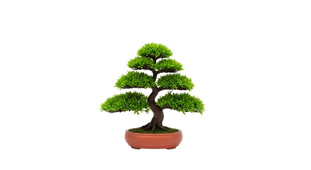 Small Green Bonsai Tree in Clay Pot on Transparent Background for Gardening and Home Decor