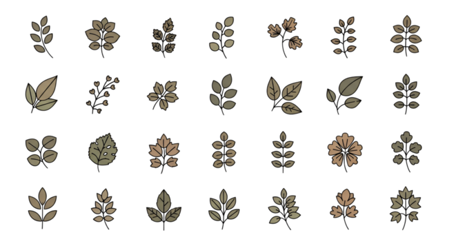 Collection of Minimalist Botanical Leaf Patterns in Neutral Tones on Transparent Background