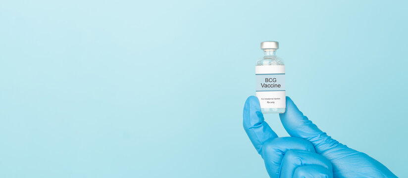 Doctor hand in blue gloves holding BCG vaccine vial over blue background. BCG vaccine used to used to prevent tuberculosis (TB), especially in infants and young children.