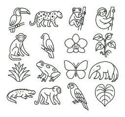 Rainforest wildlife icon collection. simple wildlife icons: toucan, jaguar, sloth, monkey, frog vector icons