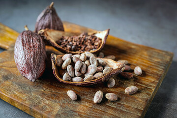 cocoa bean and cocoa nibs, cacao pods