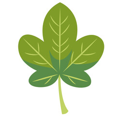 Green five-lobed leaf, flat minimal style, isolated on white background, perfect for natural, botanical, and decorative creative design projects.