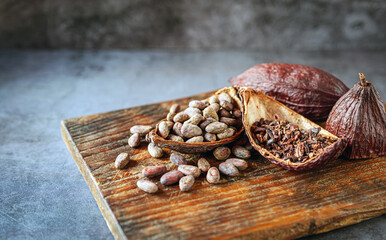 cocoa bean and cocoa nibs, cacao pods