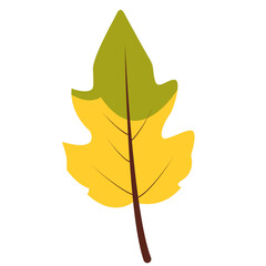 Yellow and green oak leaf, flat minimal style, isolated on white background, perfect for autumn, decorative, and creative projects.
