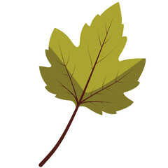 Olive green maple-shaped leaf, flat minimal style, isolated on white background, perfect for nature, botanical, and decorative projects.