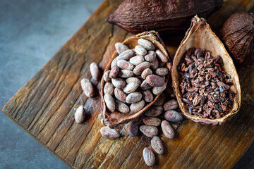 cocoa bean and cocoa nibs, cacao pods