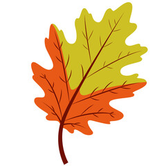 Obraz premium Green and orange autumn leaf isolated on white background, flat minimal style, perfect for seasonal, nature, and decorative design projects.