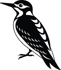 Single Woodpecker Vector Bird silhouette.