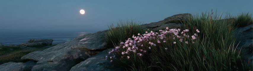 Obraz premium Moonlit coastal flowers hdr 360 degrees panoramic view nature landscape environment