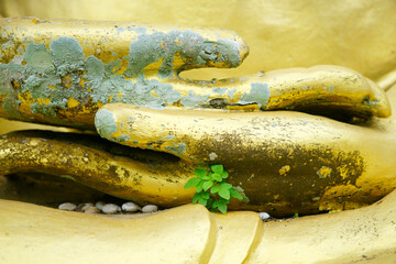Golden Buddha Hand with Green Plant Symbolizing Growth and Resilience