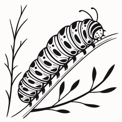 Black and white caterpillar crawling on a branch