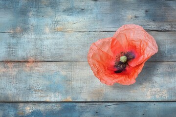 A single red poppy blossom rests on a rustic, blue-painted wooden surface.