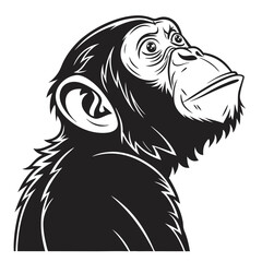 Chimpanzee head portrait, looking up with curiosity