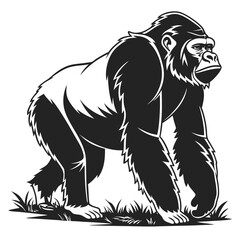 Obraz premium A powerful gorilla stands tall on grassy ground