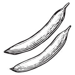 Hand-Drawn Black and White Pea Pod Cluster Illustration for Design